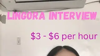Lingora interview / My Lingora interview experience / Lingora Salary / Korean students