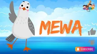 🌊🕊️ MEWA – Królowa Fal🕊️🌊