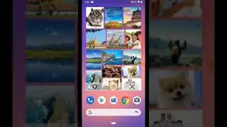 Multi-image Photo Widget