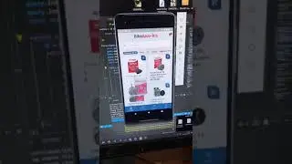 Flutter e GerenciaNet Api Pix