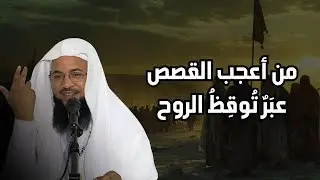 قصص قبل النوم | أعجب وأغرب القصص التي ذكرت في القرآن الكريم! قصص مؤثرة جدًا | الشيخ محمد الشنقيطي