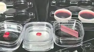 Basic version of a CW TiSapphire laser kit