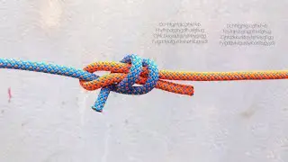 Double Sheet Bend/ Tips of tying Sheet Bend. #knots #shorts