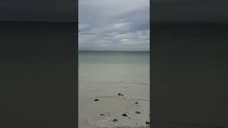 M&oslash;ns Klint