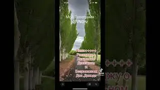 Все это о BeFree