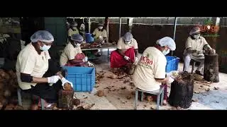 Nudge is India's first coconut paste product