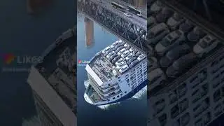 #new #best #viral #video #2021