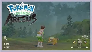Shiny Bidoof in Pok&eacute;mon Legends: Arceus (Evolved to shiny Bibarel)