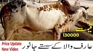 Bakra mandi rates 2019 | Arif Wala ke Janwar | Shahpur Lahore Mandi