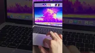 Mac Keyboard Shortcuts  (pt12): How To Evenly Split The Screen #shorts  #macshortcuts