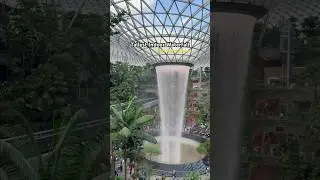 The best airport | world tallest indoor waterfall | #jewelchangi #airport #travel #singapore