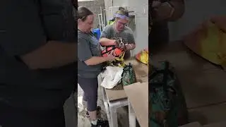 Think Pawsitive's Learn to Swim Program