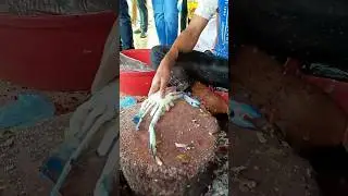 Crab Cutting Skills || Seafood