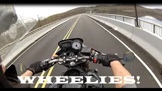 FZ8 Wheelies
