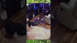 #TikTokComedy#FunnyTikTok#HilariousTikTok#TikTokLaughs#TikTokHumor#TikTokJokes#LaughOutLoudTikTok