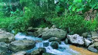 River Sounds for Sleeping Without Music with Soft River Flow White Noise for Anxiety Relief