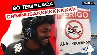 GARGULA REAGINDO A PLACAS DUVIDOSAS - PARTE 1