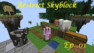 Minecraft Restrict Skyblock - Ep .01 - Just One Block!