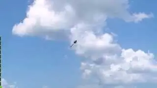 AccuRC Trex 450 DFC test