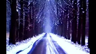 Sneeuwlandschap Oisterwijk, 1993