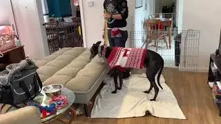 Resource Guarding Furniture