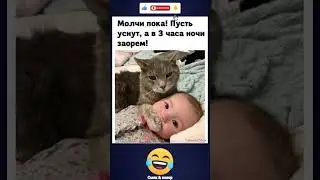 Родители, берегитесь: команда 