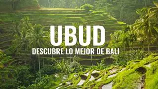 QUE HACER EN UBUD 🇮🇩  RUTA DE 4 DÍAS DESCUBRIENDO LO MEJOR DE BALI 🐒 Guía de viaje y consejos 🌎