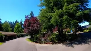 Woodmere Driving Tour