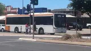 Adelaide Metro Torrens Transit Public Transport Victoria Scania K320CB Volgren Optimus 4277 (2025)