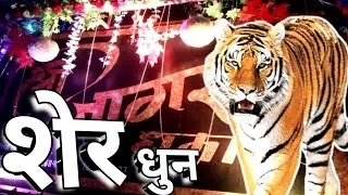 [ शेर धुन ] Sree Jagran Dhumal Boriya khurd Raipur ( खाटी शेर धुन ) Dhumal lover Raipur cg 😘❣️....