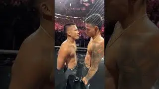 Brandon Royval vs. Joshua Van: UFC 317 Face-off