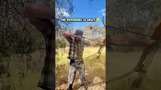 Recurve vs compound bow vs egg- which is more accurate? #bow #archery #compoundbow #recurvedbow