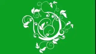 Flourish Flower on Green Screen 26