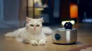 NOBXBON Wireless Cat Water Fountain
