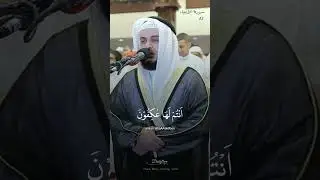 Beautiful Quran Recitation