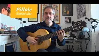 Le scale sulla chitarra e il ruolo della 