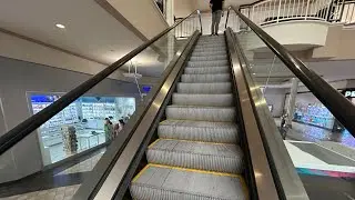 Schindler Escalators Near Southern Lion Carolina Place Mall In Pineville, NC