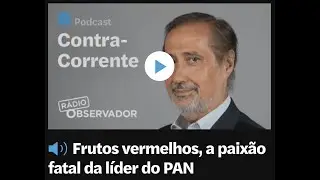Contra corrente - Observador - Ines Sousa Real estufas
