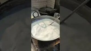 Learn to make curd Halwai Bhai Recipe Curd Making Halwai Recipe Curds #shortsfeed #shortfeed #shorts