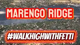 Walk High at Marengo Ridge | Exploring Campsites & Trails #WalkHighWithFetti #Nature #Midwest