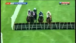 Irish Stallion Farms European Breeders Fund Mares Champion Hurdle 2014
