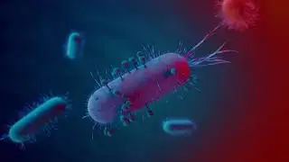 Pantibiotic, an innovative women's probiotic to support vaginal health