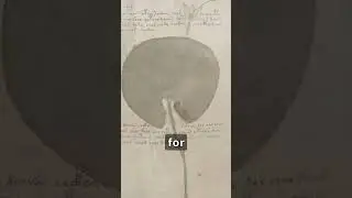 📜🔍 | Enigmatic Text or Alien Message? Unlocking the Secrets of the Voynich Manuscript