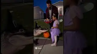 When the swamp gets spooky 🐊🎃 #TrickOrTreat #FunnyAnimals #HalloweenShorts #Alligator&rdquo;