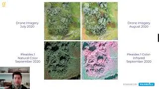 Innovations in Environmental Remote Sensing: Satellites, Drones and AI