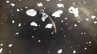 Limpieza de turbo facil con Alumisol de Deter&iacute;n