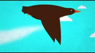 Waarom vliegen trekvogels in V-vorm?