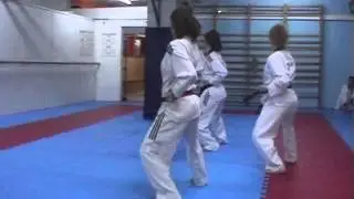 Escuela Taekwondo Lee Young en Cerdanyola
