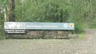 Border Ranges Yowie / Bigfoot Research