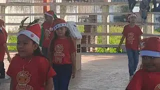 Mi niña participando en el festival navideño de la escuela primaria...